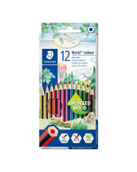 Etui de 12 crayons de couleur Staedtler mine 2mm